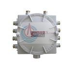 BJX52 series of explosion-proof junction box