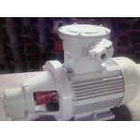 LWBZ-40/6 Lubricating oil pump