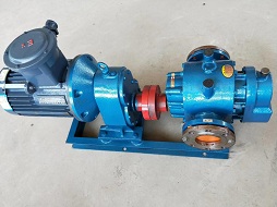 LCW-10/0.6 Roots Insulation Pump