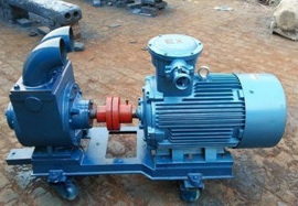 50YPB-8  Sliding vane pump