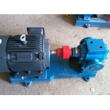 LQB-25/0.36   LQB Asphalt Insulation Pump