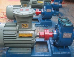  100YPB-100   YPB slider pump