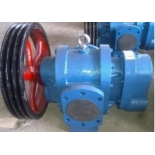 LCW-10/0.6   LCW Thermal Insulation Roots Pump