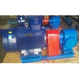 BW58/0.28   Insulation Asphalt Pump