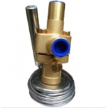 THR 75 HW 100 Expansion valve