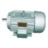 Y90S-2   ​ Three-phase Asynchronous Motor​  ​