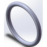 530301011650070007  O-ring